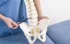 Thoái Hóa Khớp Háng, Viêm Khớp Háng Nguyên Nhân Và Cách Điều Trị